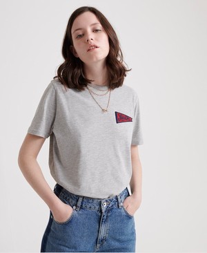 Superdry Classic Varsity Pennant Relaxed Női Pólók Szürke | LQSIK2856